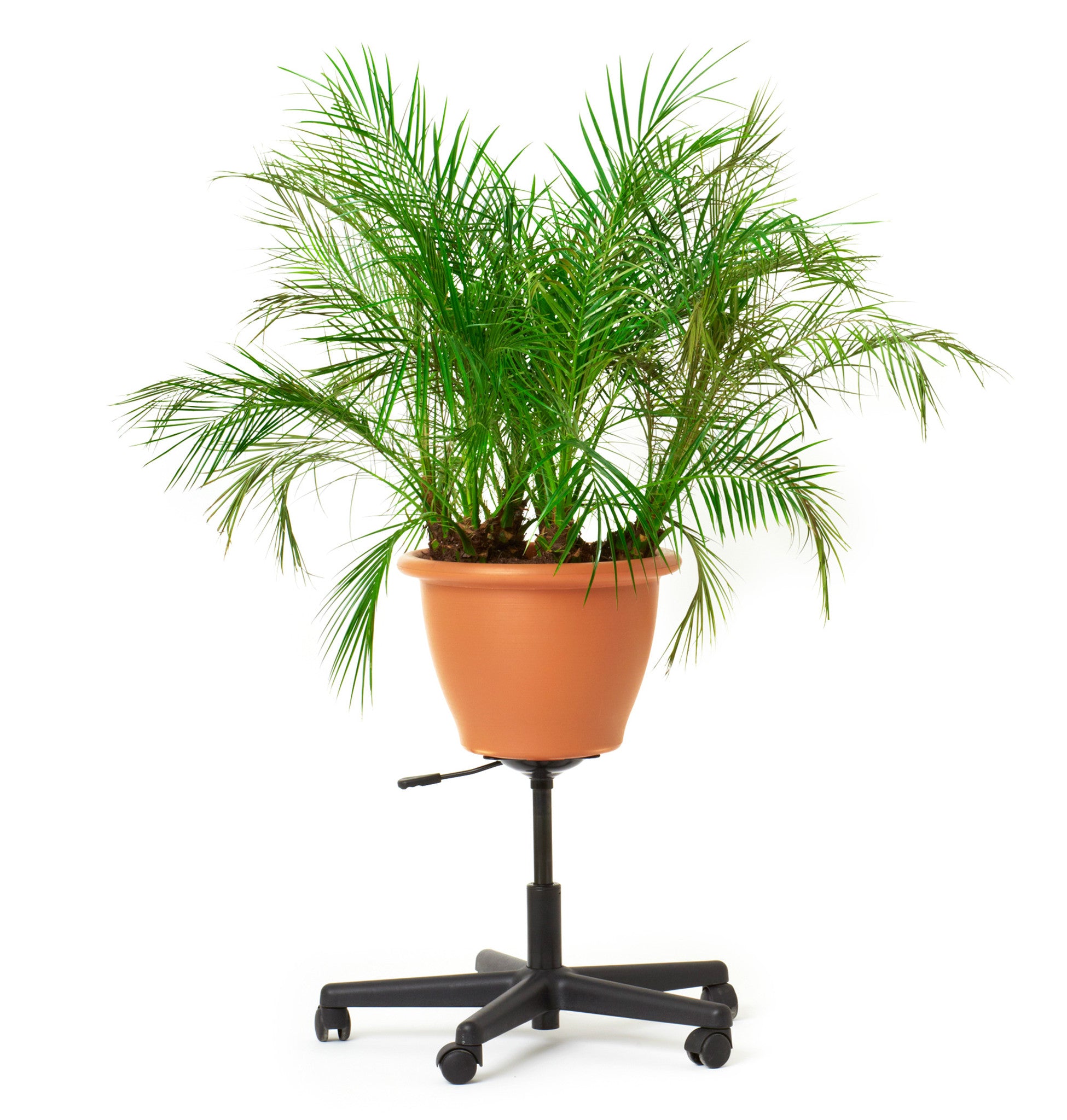 Office Planter